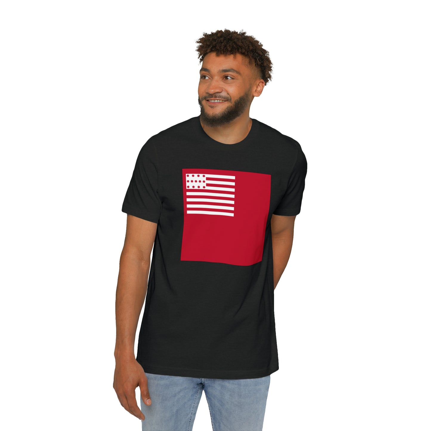 United States Brandywine Flag T-Shirt | Made in USA