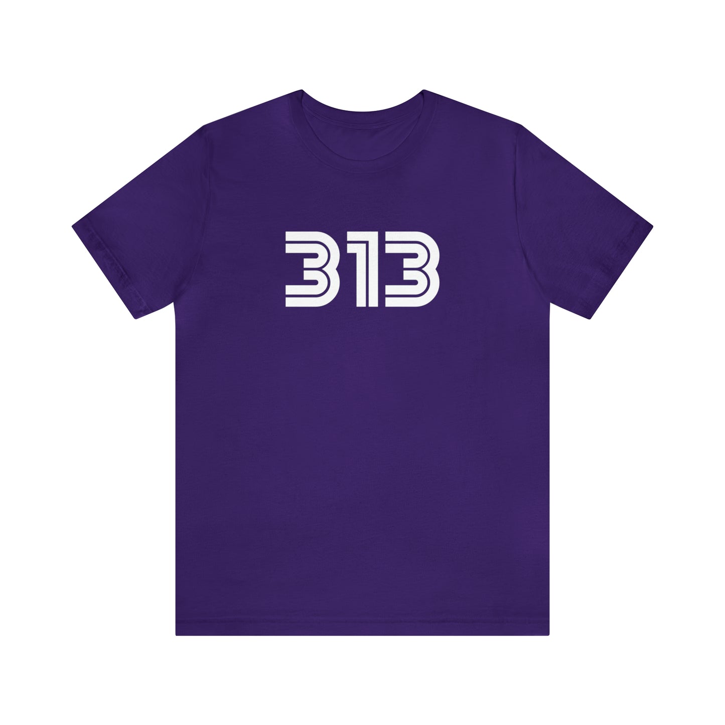 Detroit '313' T-Shirt (1970s Audiophile Font) | Unisex Standard Fit