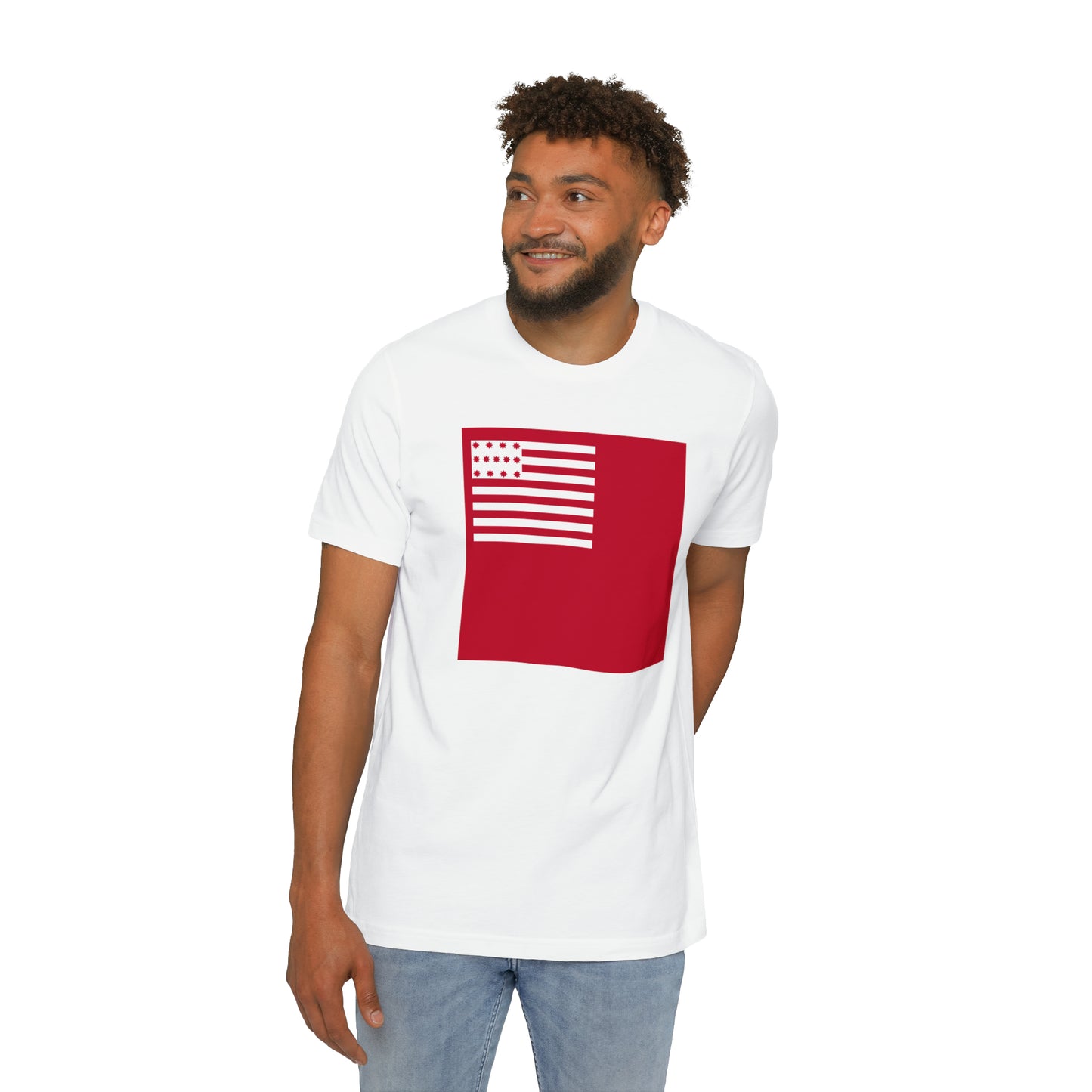 United States Brandywine Flag T-Shirt | Made in USA