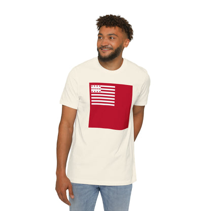 United States Brandywine Flag T-Shirt | Made in USA