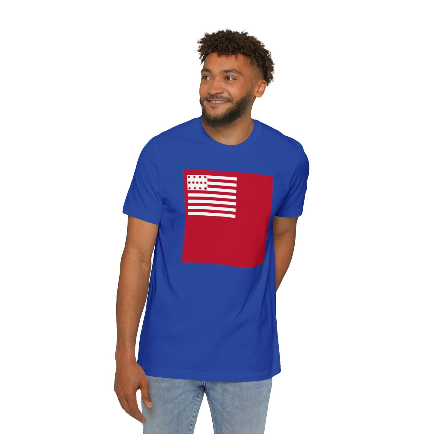 United States Brandywine Flag T-Shirt | Made in USA