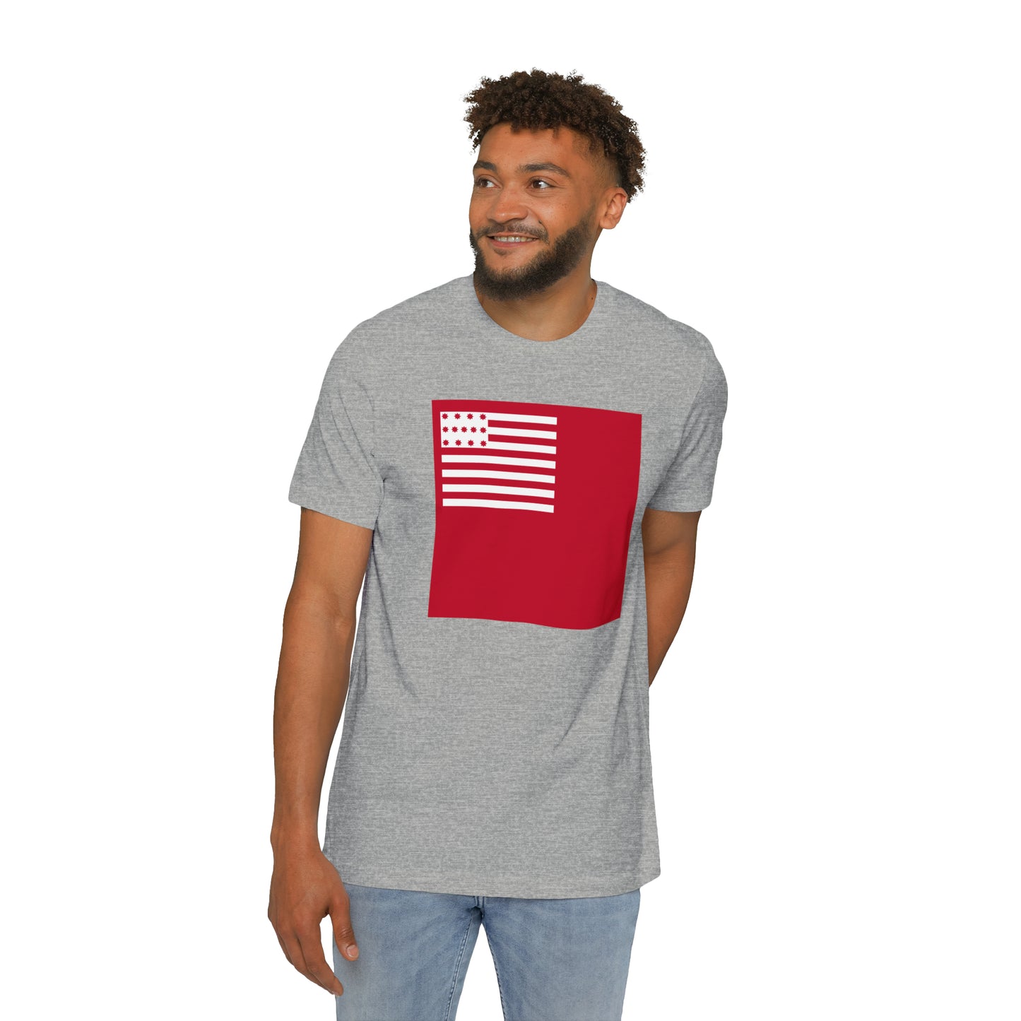 United States Brandywine Flag T-Shirt | Made in USA