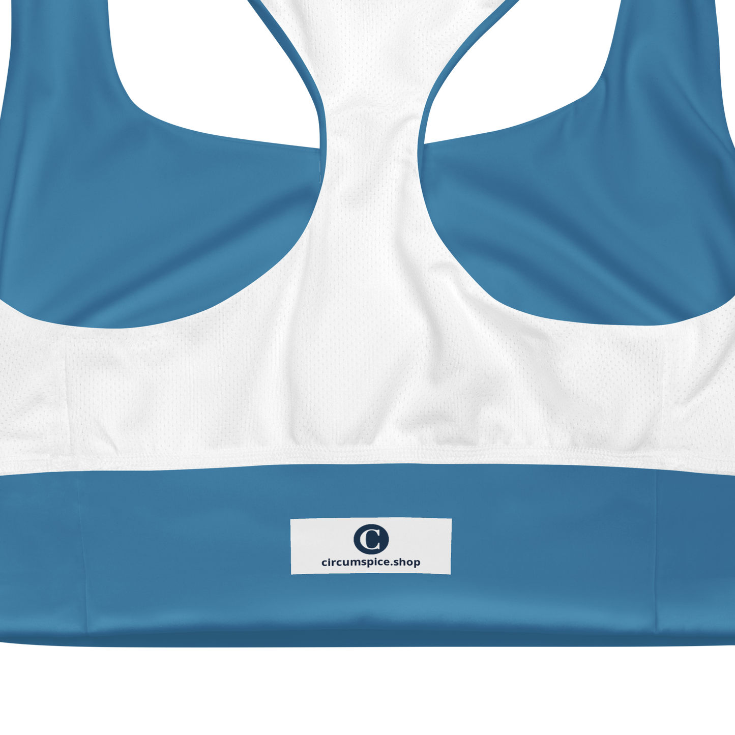 Michigan Upper Peninsula Longline Sports Bra (w/ UP Outline) | Lake Michigan Blue