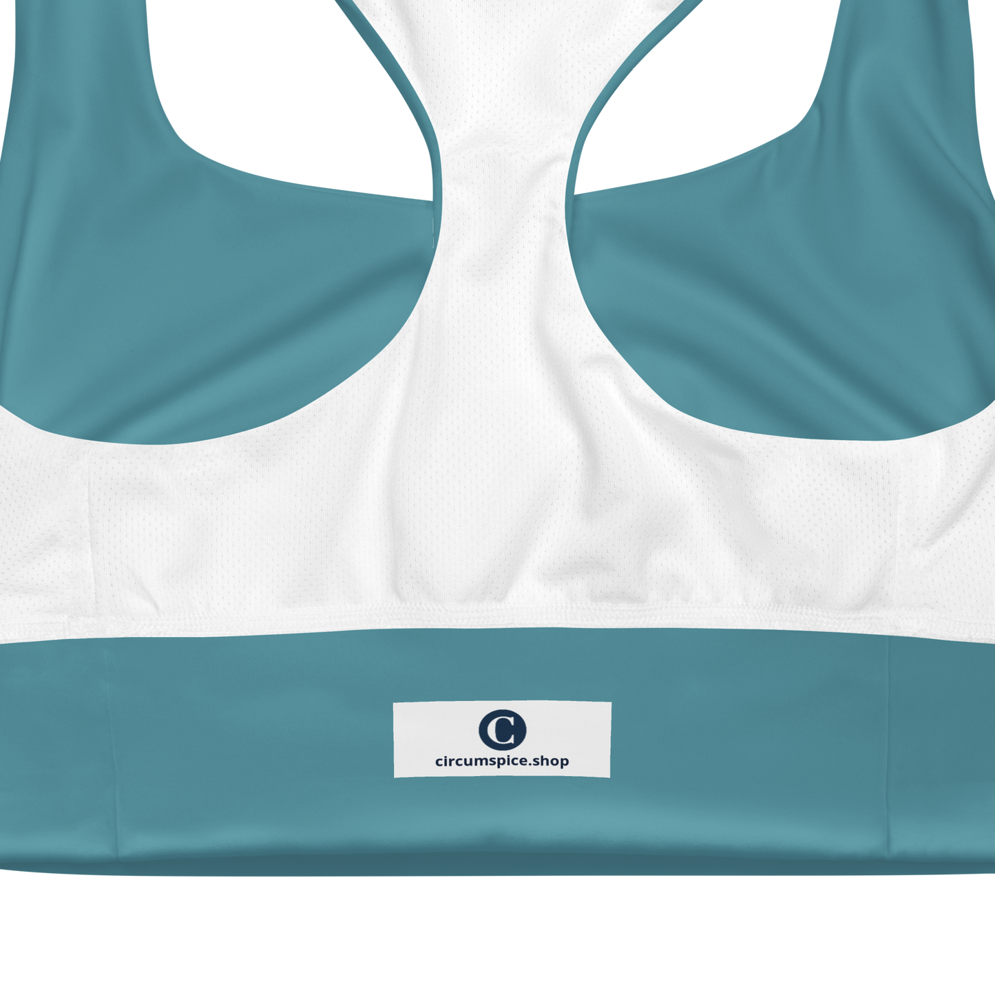 Michigan Upper Peninsula Longline Sports Bra (w/ UP Outline) | Lake Huron Blue