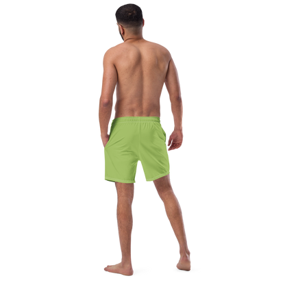 Michigan Upper Peninsula Men's Swim Trunks (w/ UP USA Flag ) | Gooseberry Green