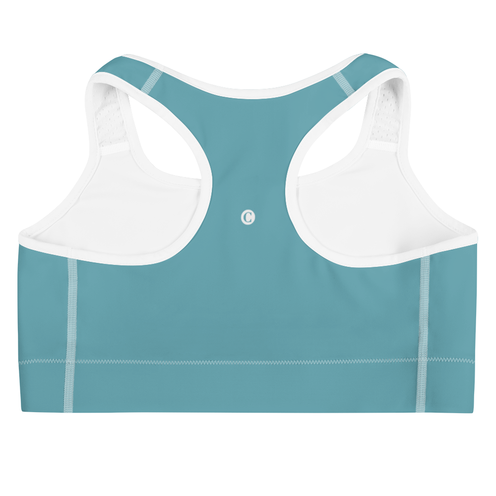 Michigan Upper Peninsula Sports Bra (w/ UP Outline) | Lake Huron Blue