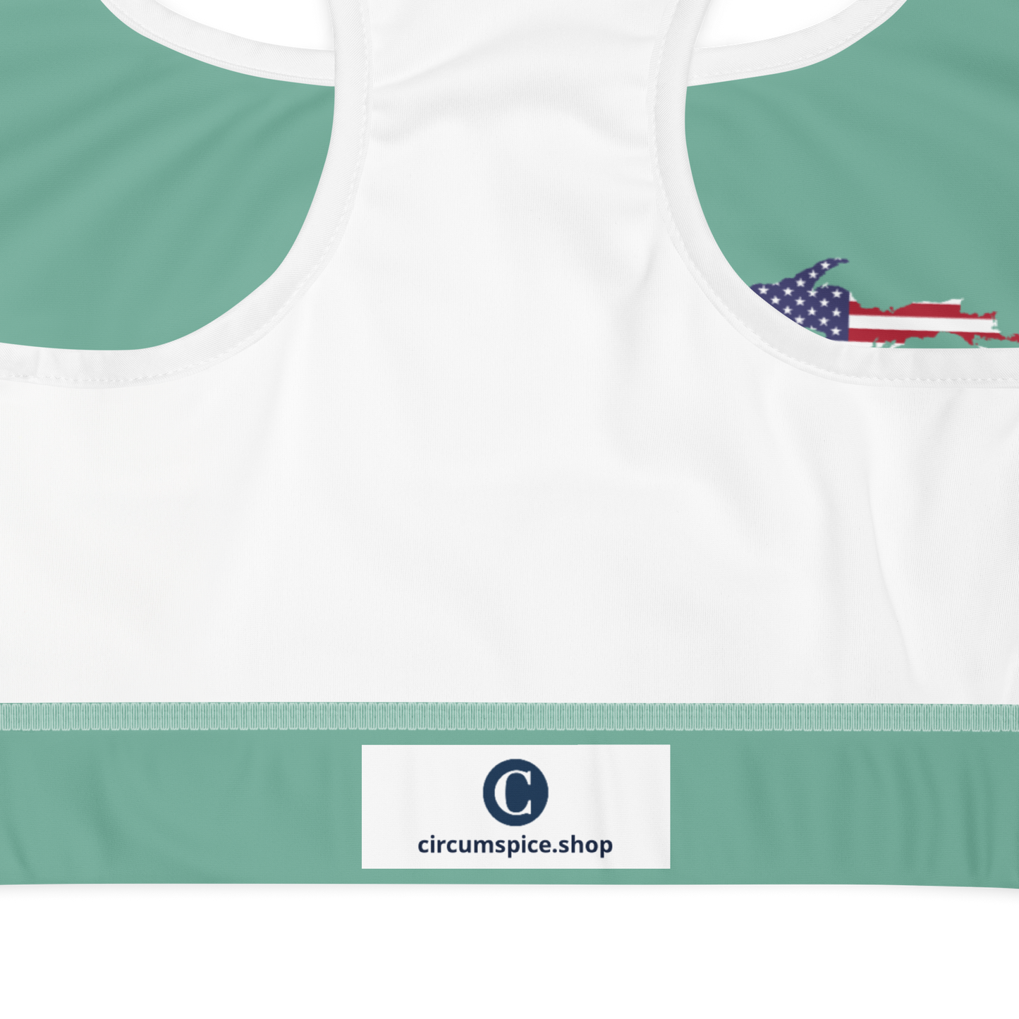 Michigan Upper Peninsula Sports Bra (w/ UP USA Flag) | Metallic Mint Green