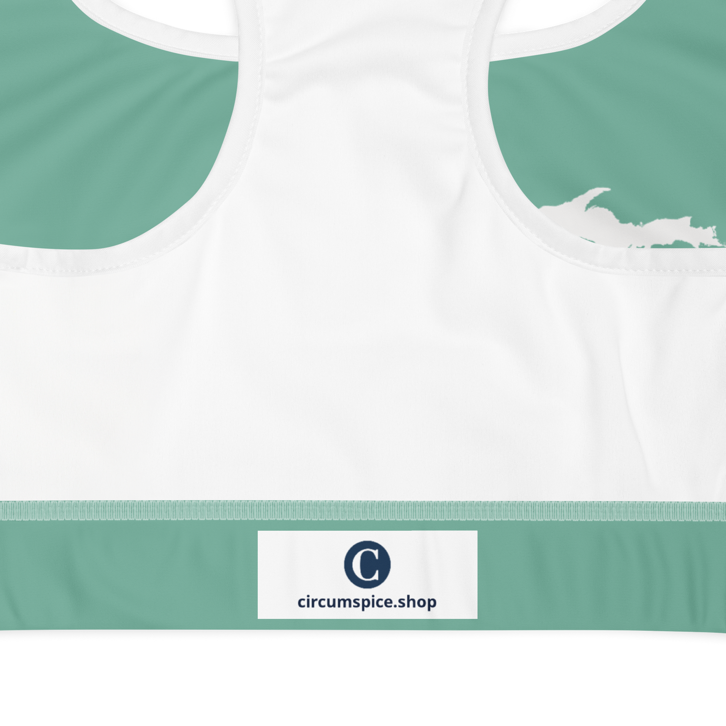 Michigan Upper Peninsula Sports Bra (w/ UP Outline) | Metallic Mint Green