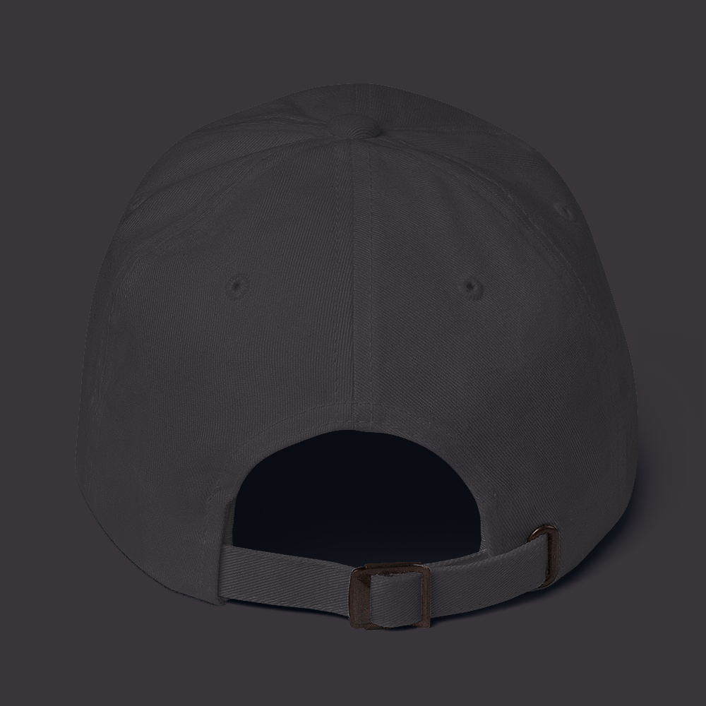 '313 Detroit Michigan' Dad Hat