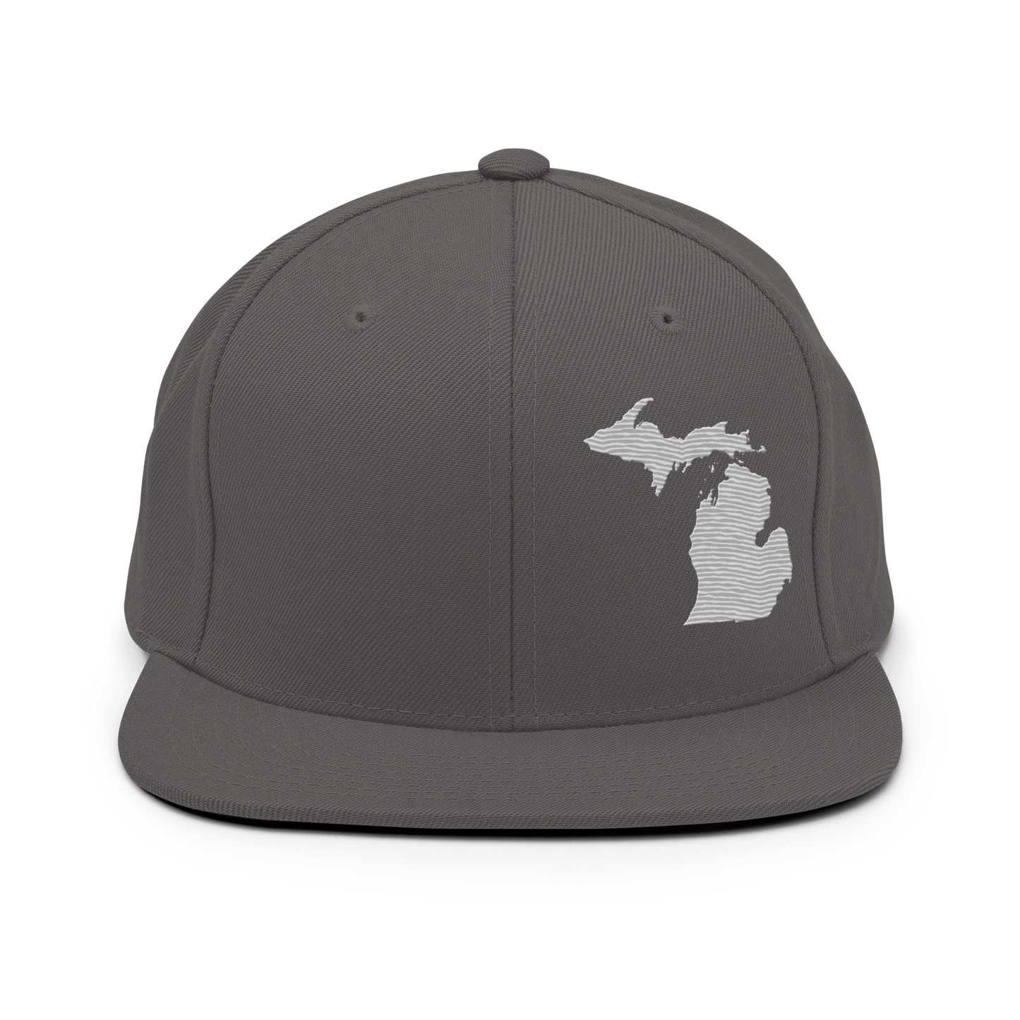 Michigan Vintage Snapback | Platinum Outline