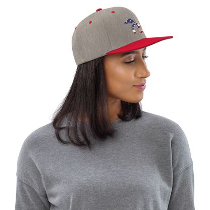 Great Lakes Vintage Snapback (Patriot Edition)