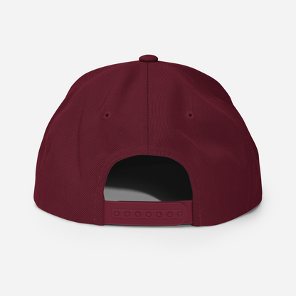 Lake Superior Vintage Snapback | Ore Dock Red