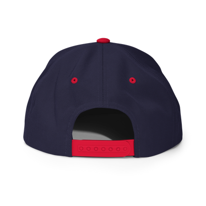 Great Lakes Vintage Snapback (Patriot Edition)