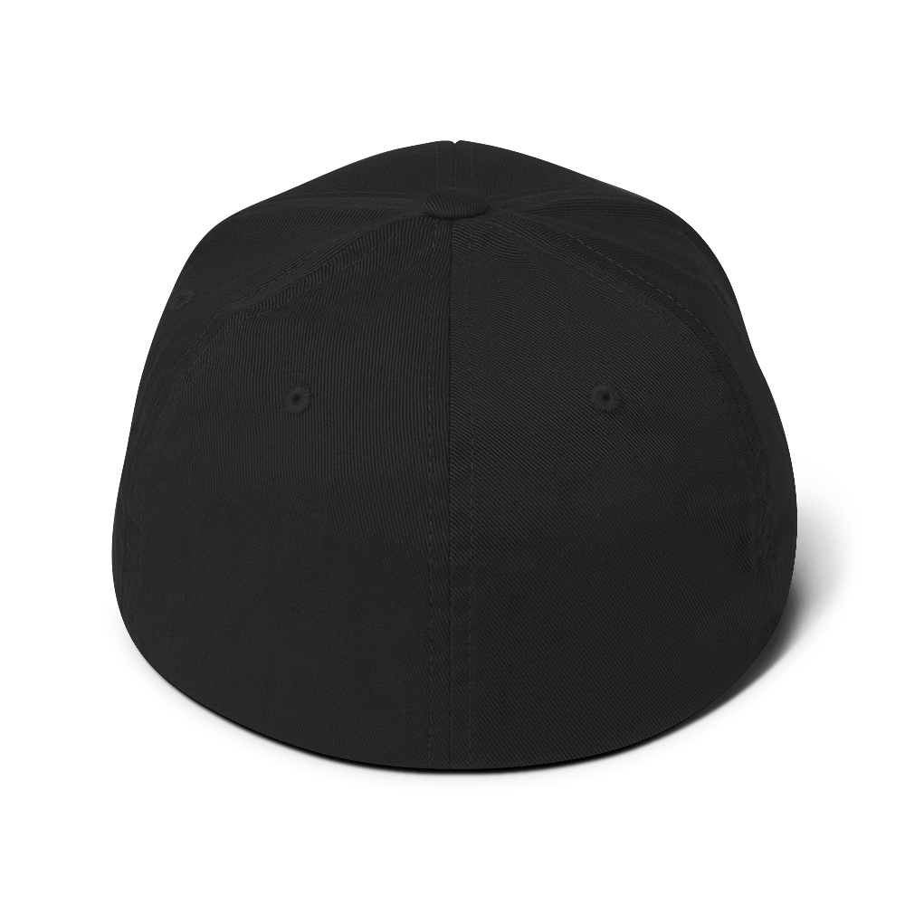 Detroit '313' Fitted Baseball Cap (Angry Font) | Aliform Red