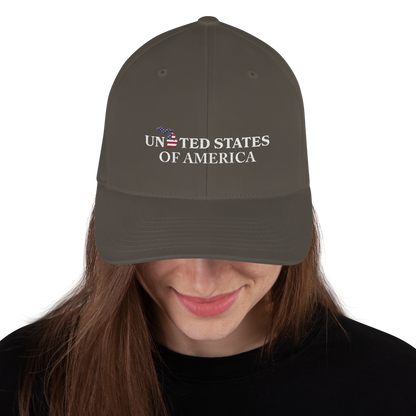 Michigan 'United States of America' Fitted Baseball Cap