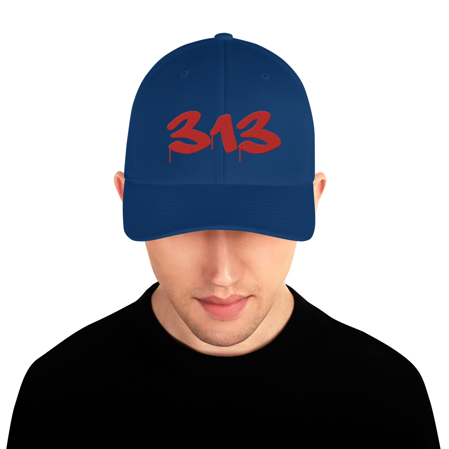 Detroit '313' Fitted Baseball Cap (Tag Font) | Aliform Red