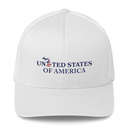 Michigan 'United States of America' Fitted Baseball Cap