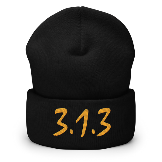 Detroit '313' Cuffed Beanie (Compton Font) | Gold