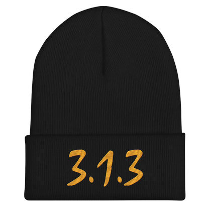 Detroit '313' Cuffed Beanie (Compton Font) | Gold