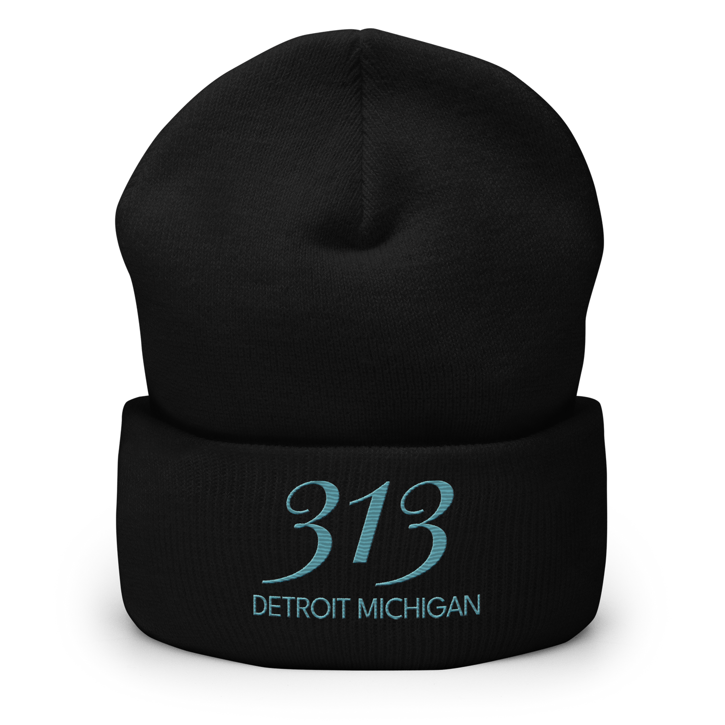 '313 Detroit Michigan' Cuffed Beanie | Huron Blue