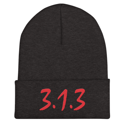 Detroit '313' Cuffed Beanie (Compton Font)