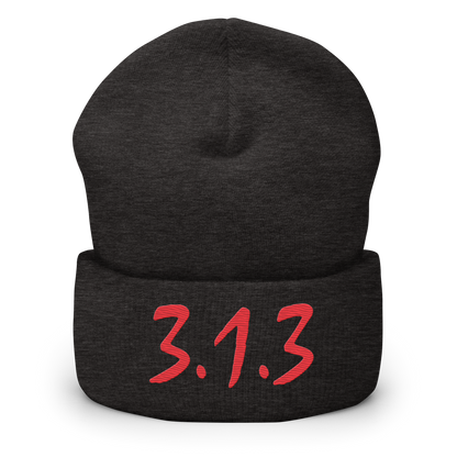 Detroit '313' Cuffed Beanie (Compton Font)