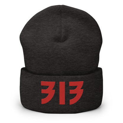 Detroit '313' Cuffed Beanie (Glam Font) | Red