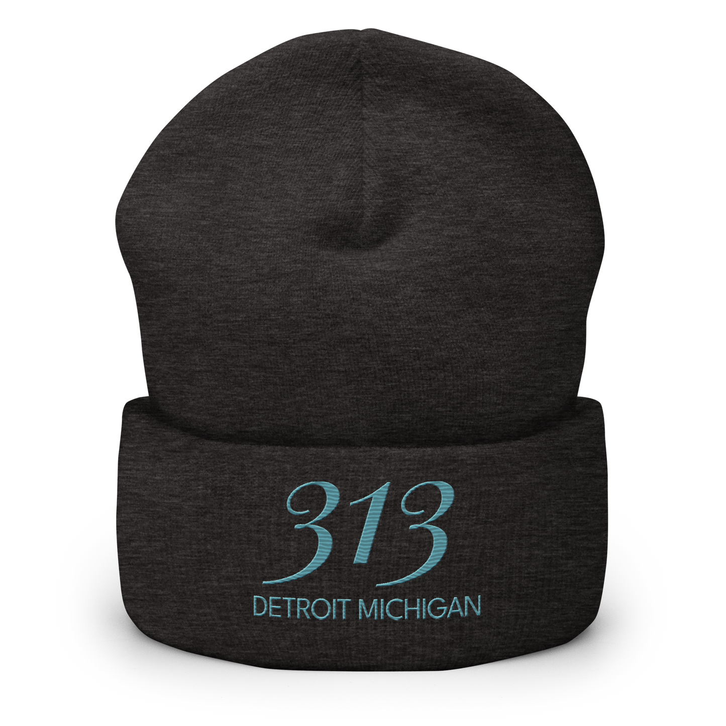 '313 Detroit Michigan' Cuffed Beanie | Huron Blue