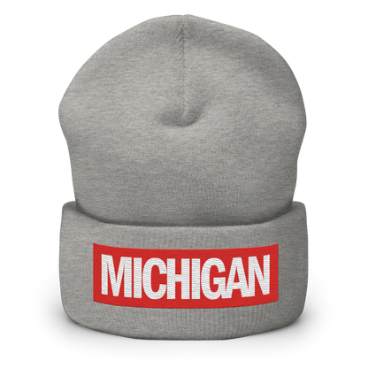 'Michigan' Cuffed Beanie | Superhero Factory Parody