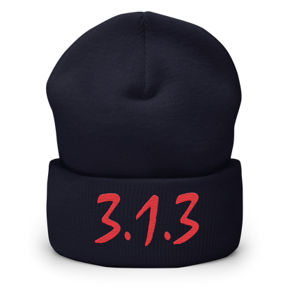 Detroit '313' Cuffed Beanie (Compton Font)