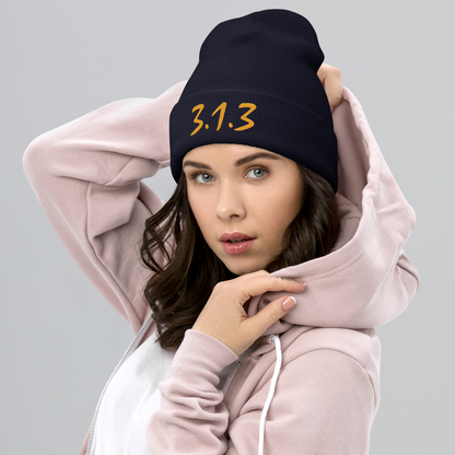 Detroit '313' Cuffed Beanie (Compton Font) | Gold