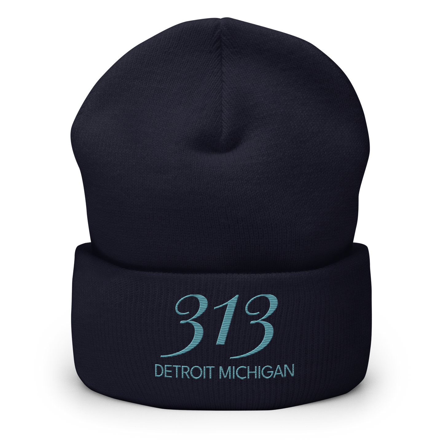 '313 Detroit Michigan' Cuffed Beanie | Huron Blue