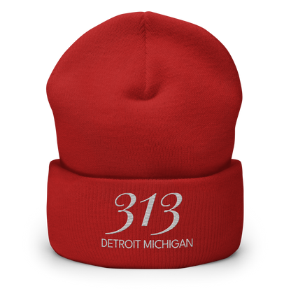 '313 Detroit Michigan' Cuffed Beanie | Platinum