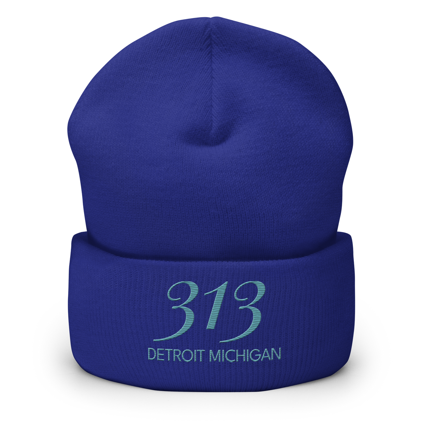 '313 Detroit Michigan' Cuffed Beanie | Huron Blue