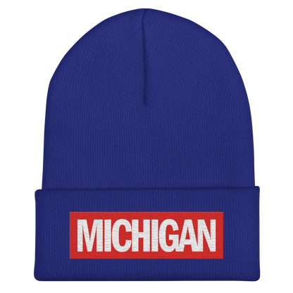 'Michigan' Cuffed Beanie | Superhero Factory Parody