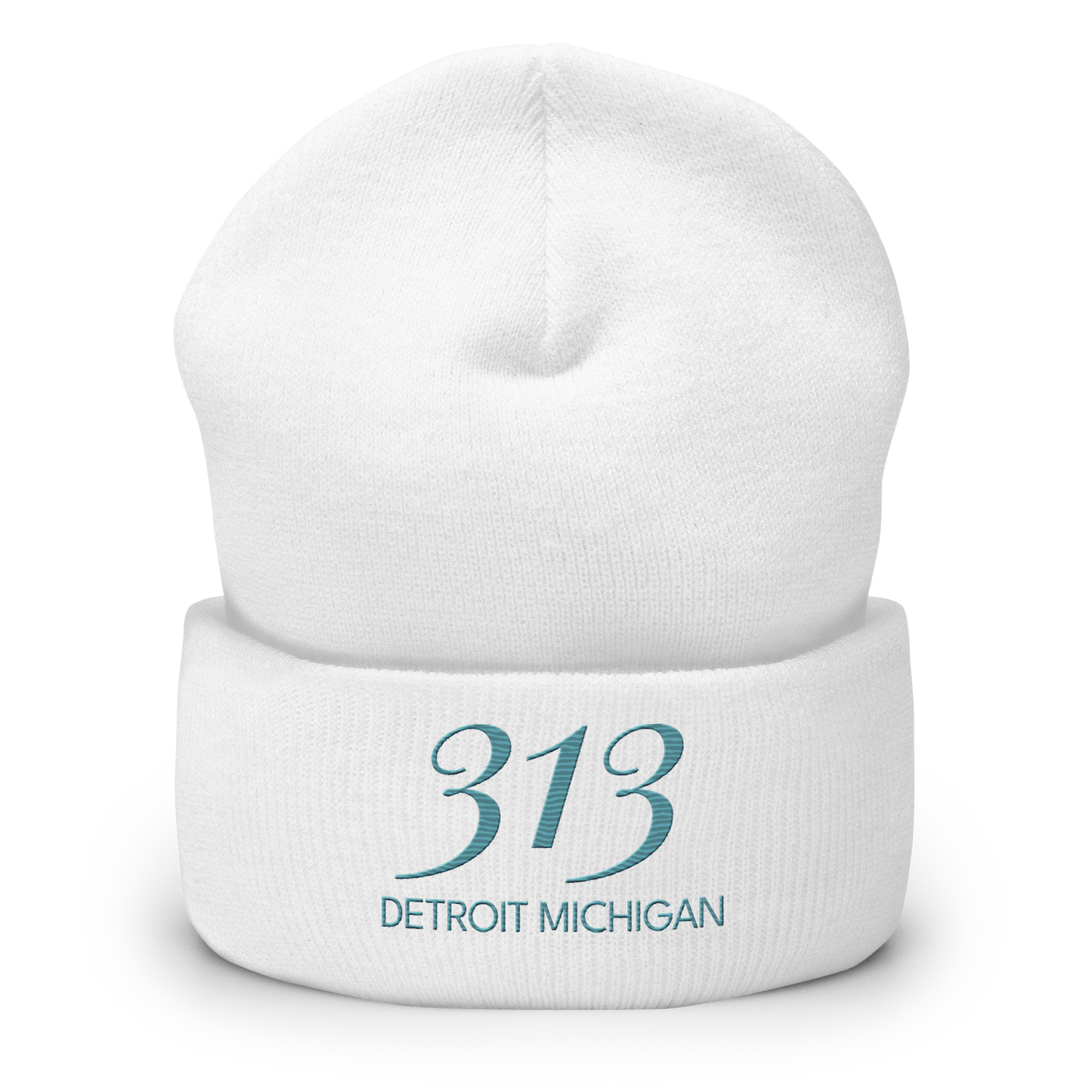 '313 Detroit Michigan' Cuffed Beanie | Huron Blue