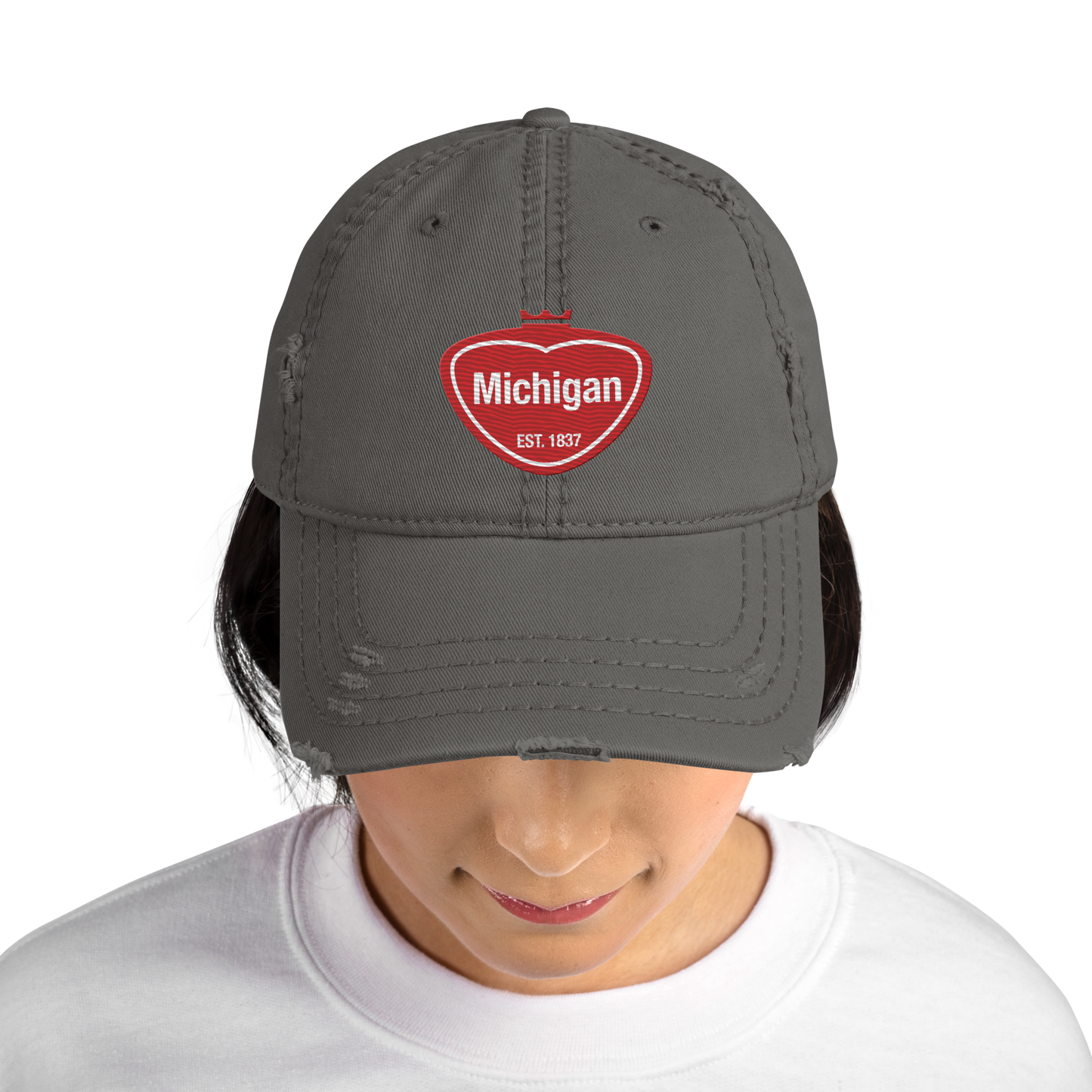 'Michigan EST. 1837' Distressed Dad Hat | Local Sodapop Parody