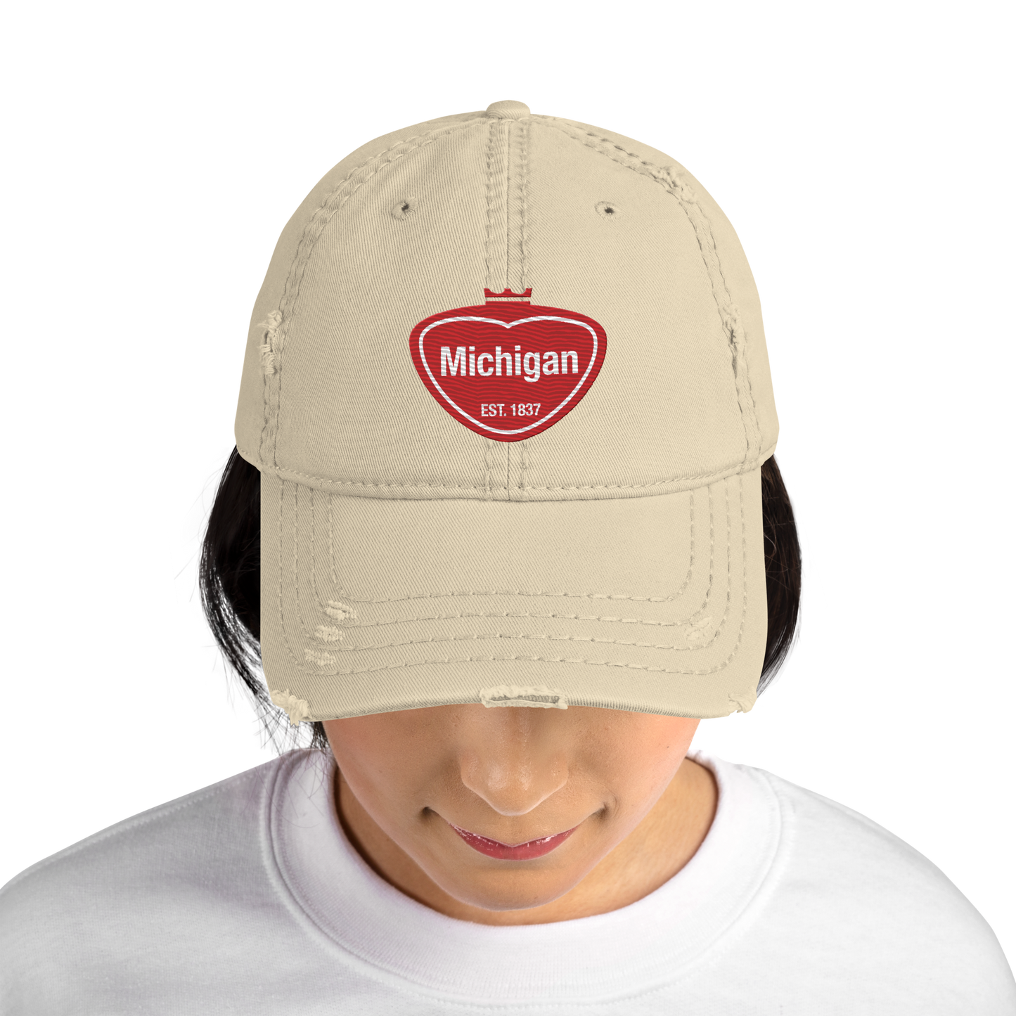 'Michigan EST. 1837' Distressed Dad Hat | Local Sodapop Parody