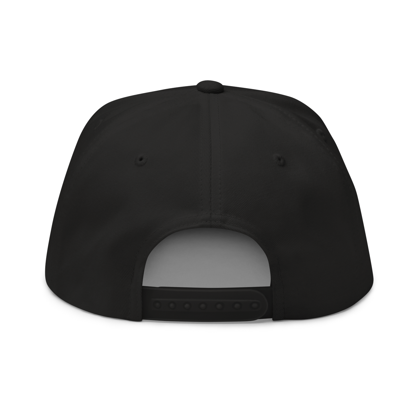 Detroit '313' Flat BIll Snapback (Azure Tag Font)