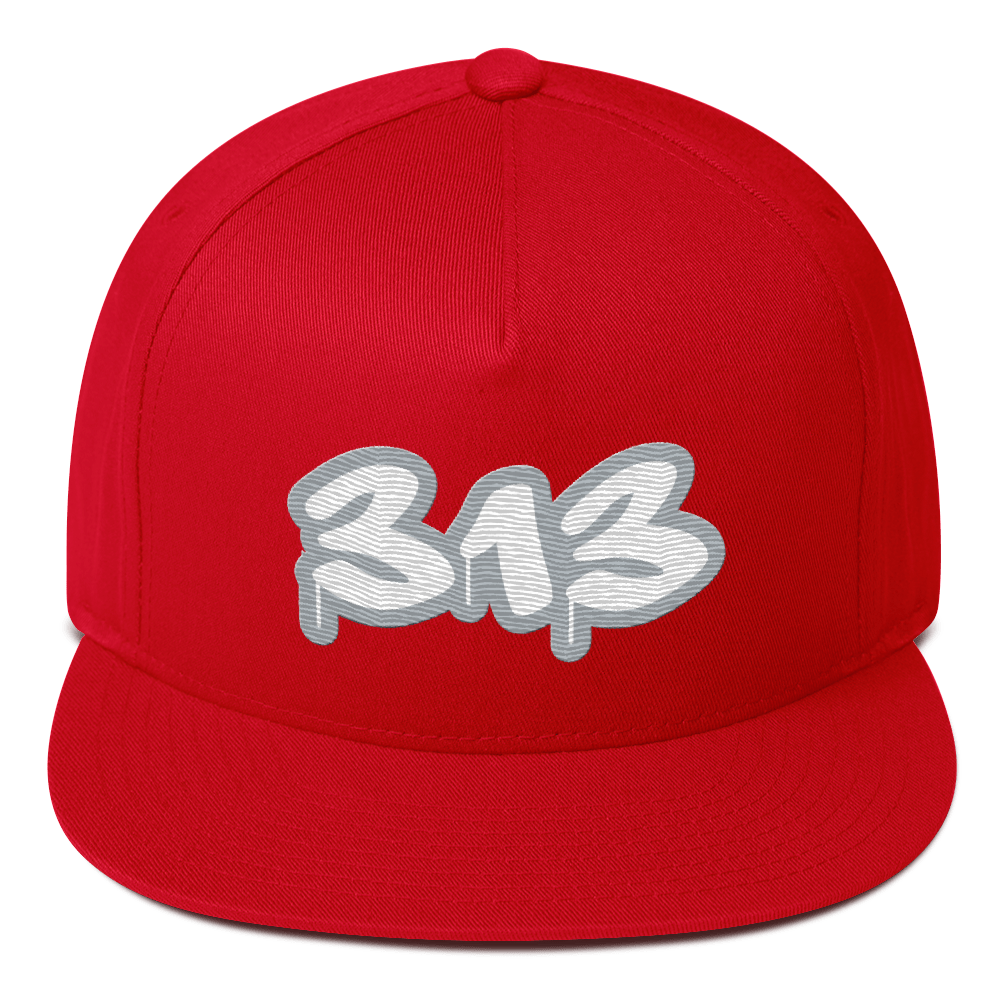 Detroit '313' Flat BIll Snapback (Silver Tag Font)