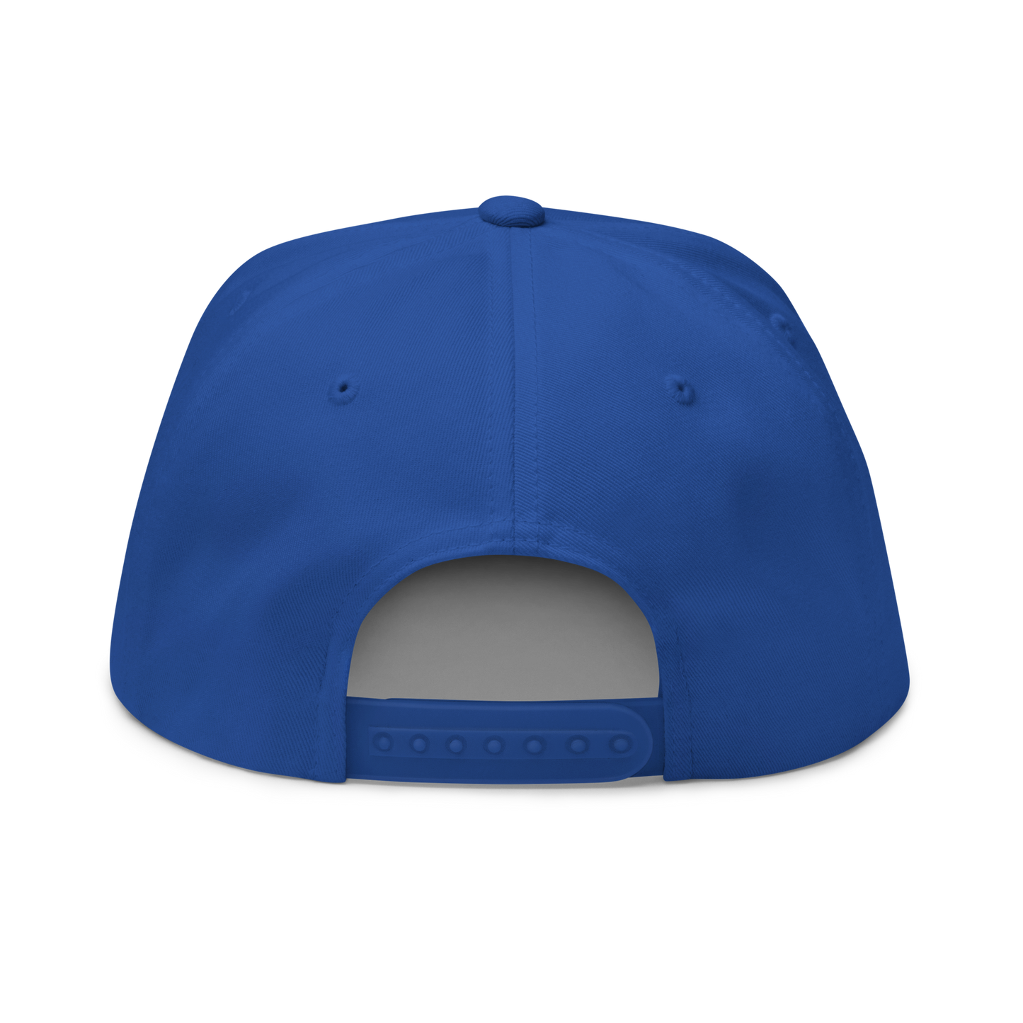 'Detroit' Flat Bill Snapback (Azure Tag Font)