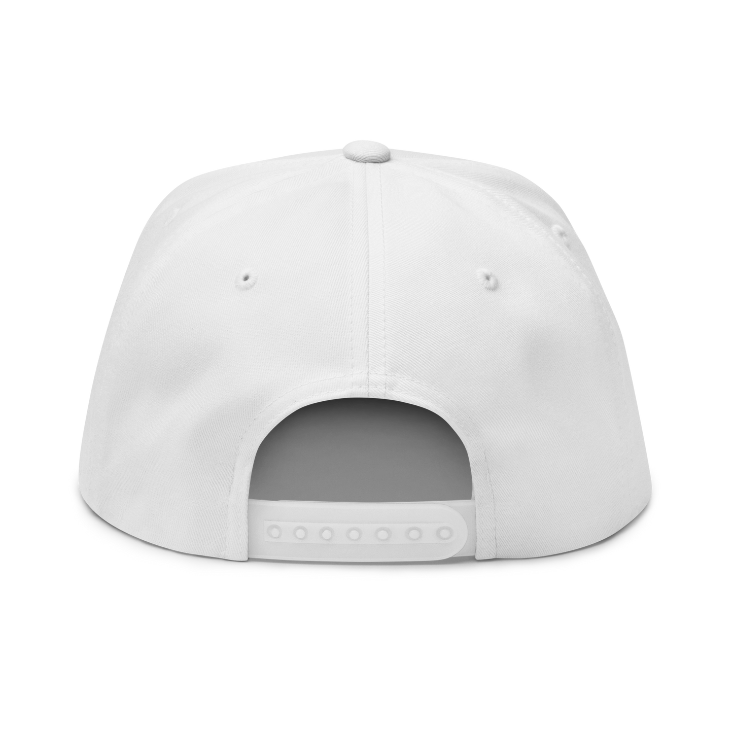 Detroit '313' Flat BIll Snapback (Silver Tag Font)