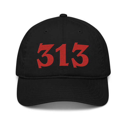 Detroit '313' Classic Baseball Cap (Angry Font) | Aliform Red