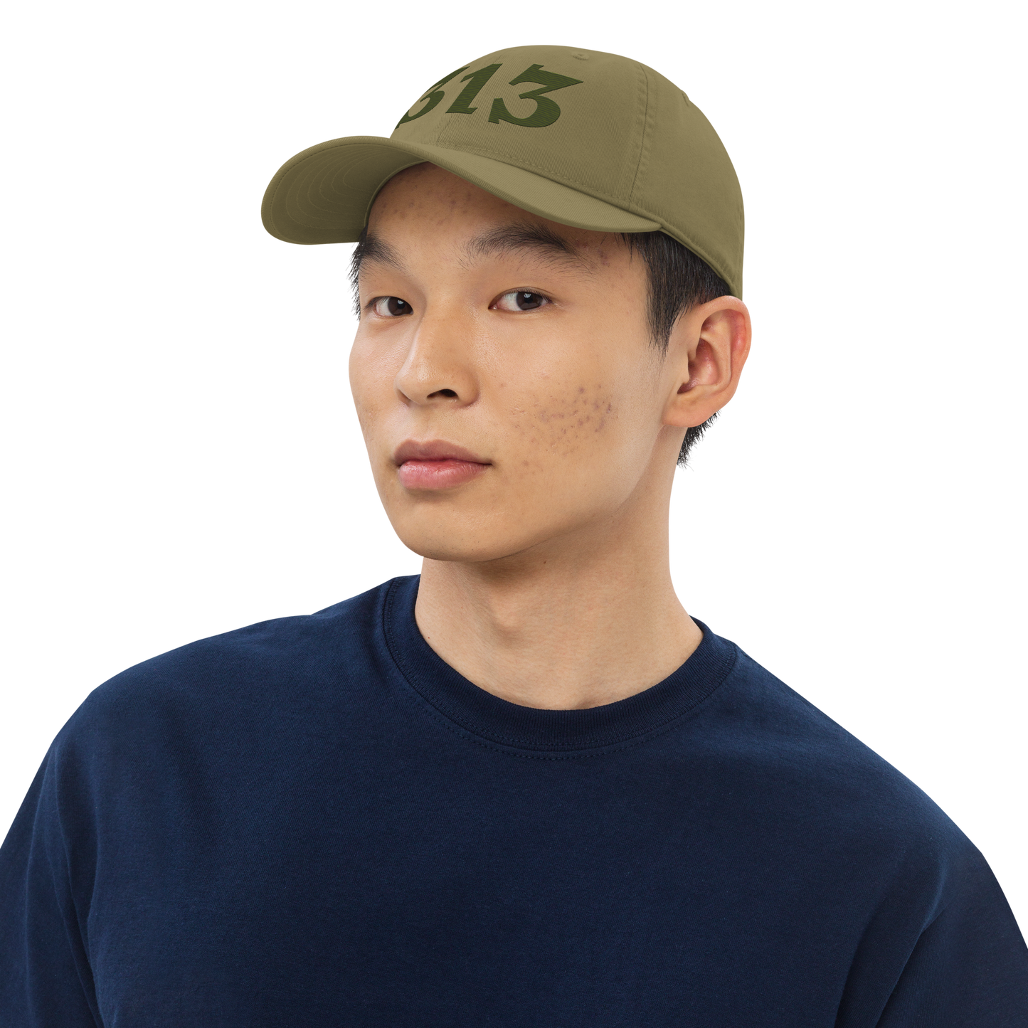 Detroit '313' Classic Baseball Cap (Angry Font) | Army Green