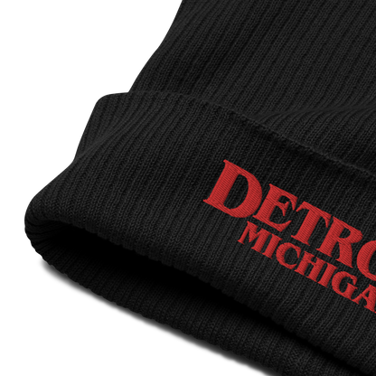 'Detroit Michigan' Organic Beanie (80s Teen Drama Parody)