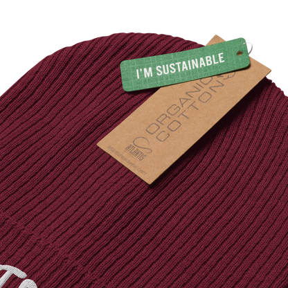 'Detroit' Organic Beanie (Tag Font)