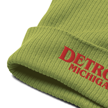 'Detroit Michigan' Organic Beanie (80s Teen Drama Parody)