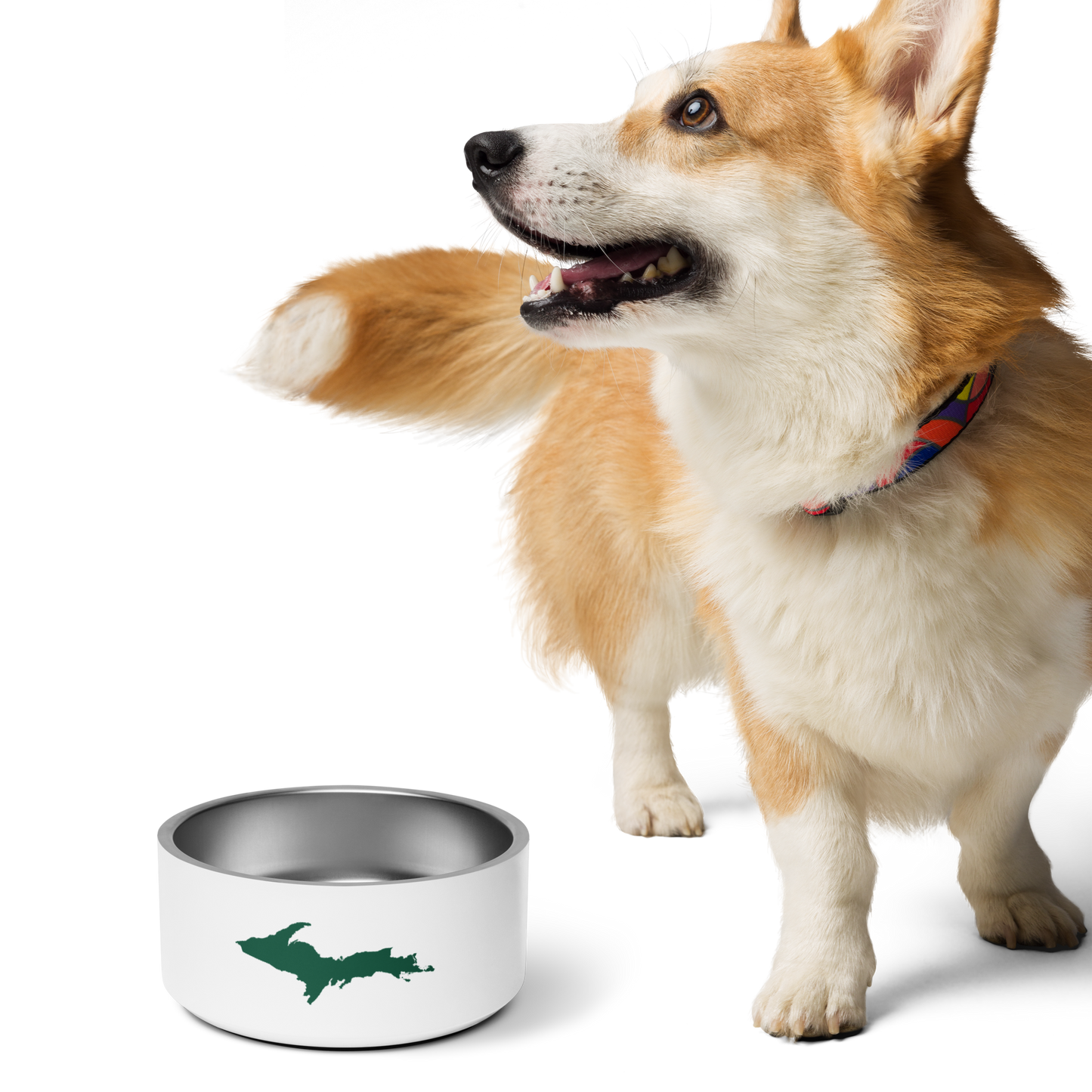 Michigan Upper Peninsula Pet Bowl (w/ UP Outline) | Superior Green