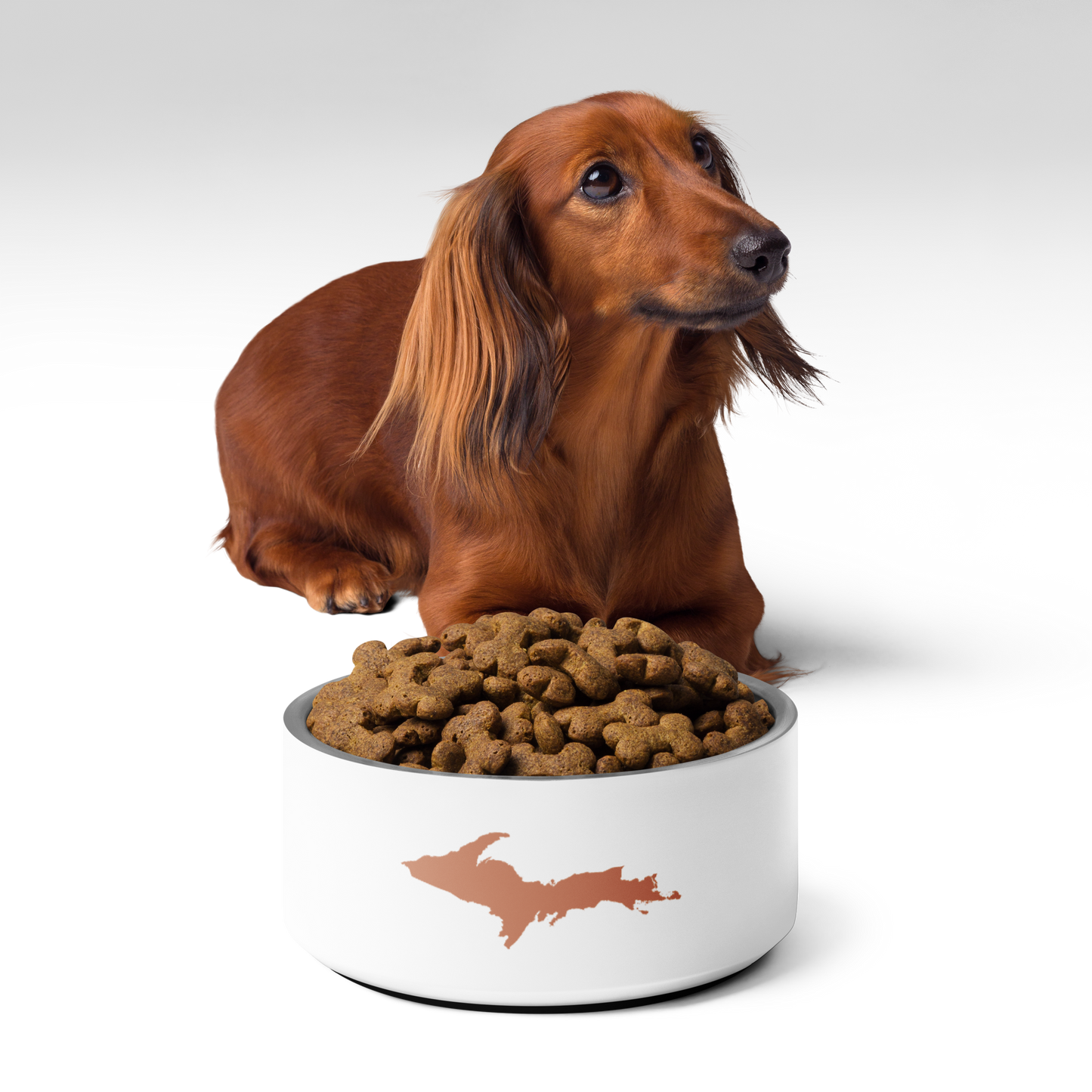 Michigan Upper Peninsula Pet Bowl (w/ UP Outline) | Copper