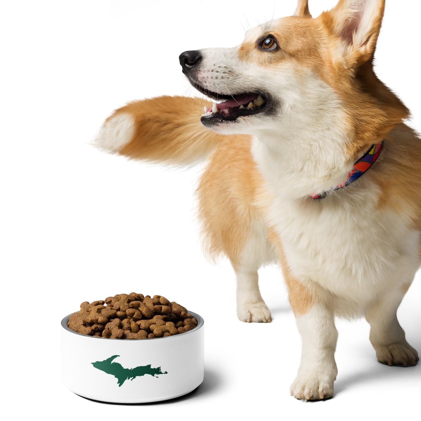 Michigan Upper Peninsula Pet Bowl (w/ UP Outline) | Superior Green